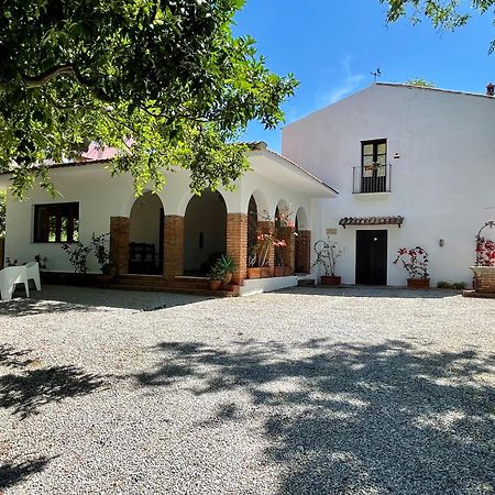 Villa Tana Pacenzia 切法卢 外观 照片